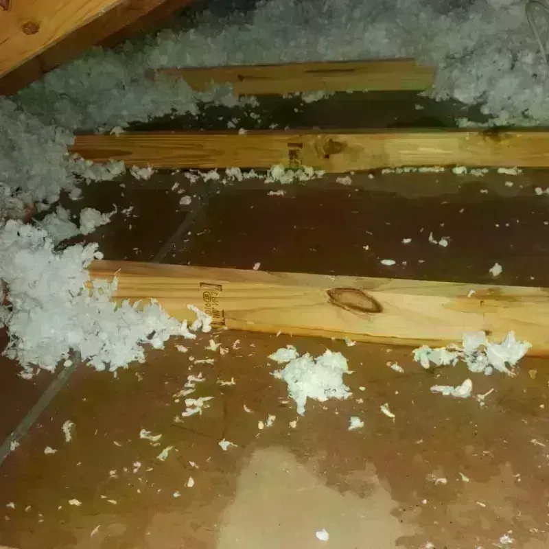 Attic Water Damage in Davidsville, PA